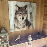 Le P'tit Curieux Chalet