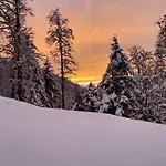 Le P'tit Curieux * Rupt-sur-Moselle