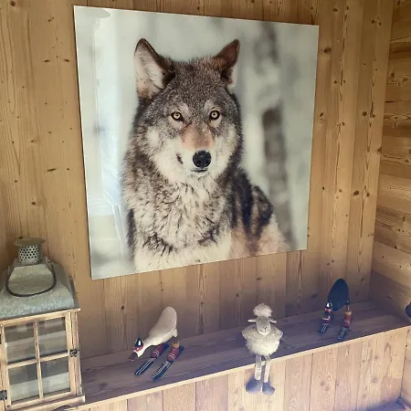 Le P'tit Curieux Chalet