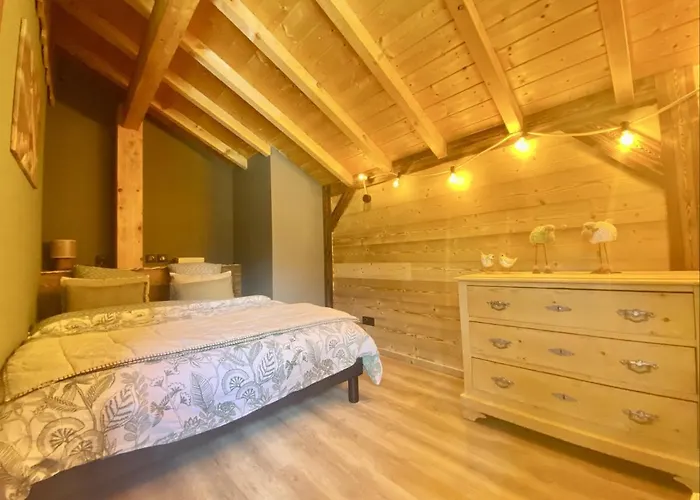 샬레 Le P'tit Curieux 루프트쉬르모젤