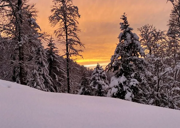 Le P'tit Curieux * Rupt-sur-Moselle