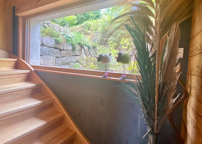 샬레 Le P'tit Curieux *